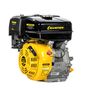 Двигатель с горизонтальным валом CHAMPION G420HK