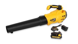 Аккумуляторная техника CHAMPION BB1821 Аккумуляторная техника ЧЕМПИОН BB1821