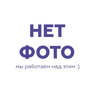 Фреза для культиватора Чемпион C3016