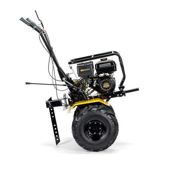  ЧЕМПИОН BC8733/1