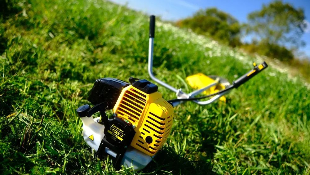 Триммер Чемпион