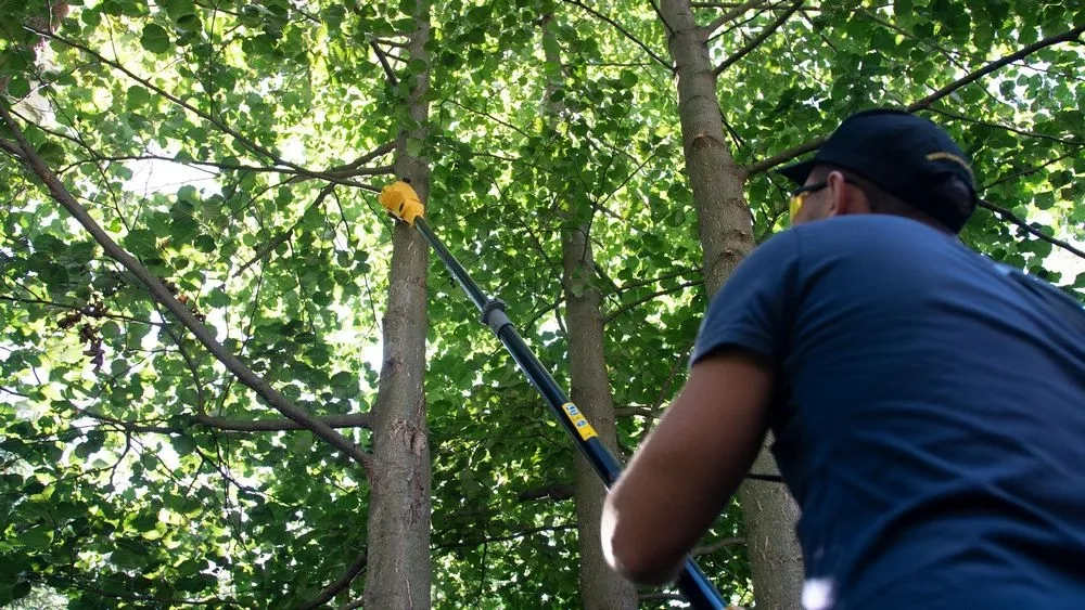 Высоторез Чемпион