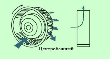 устройство воздуходувки.jpg